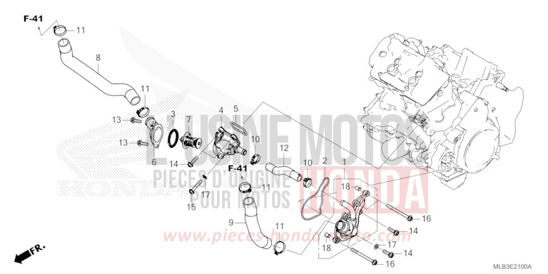 THERMOSTAT/WASSERSCHLAUCH von Hornet 750 GLINT WAVE BLUE METALLIC (B197) von 2025